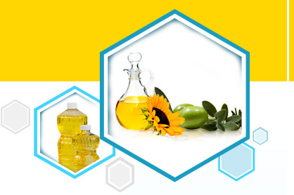 Bleaching Earth Manufacturer