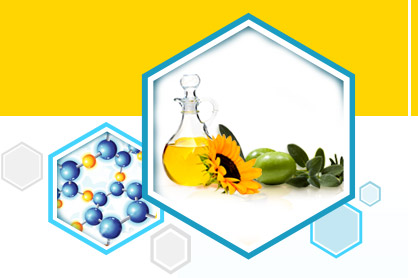 Bleaching Earth Manufacturer